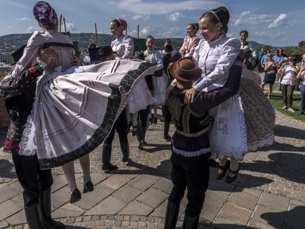 budapest borfesztivál