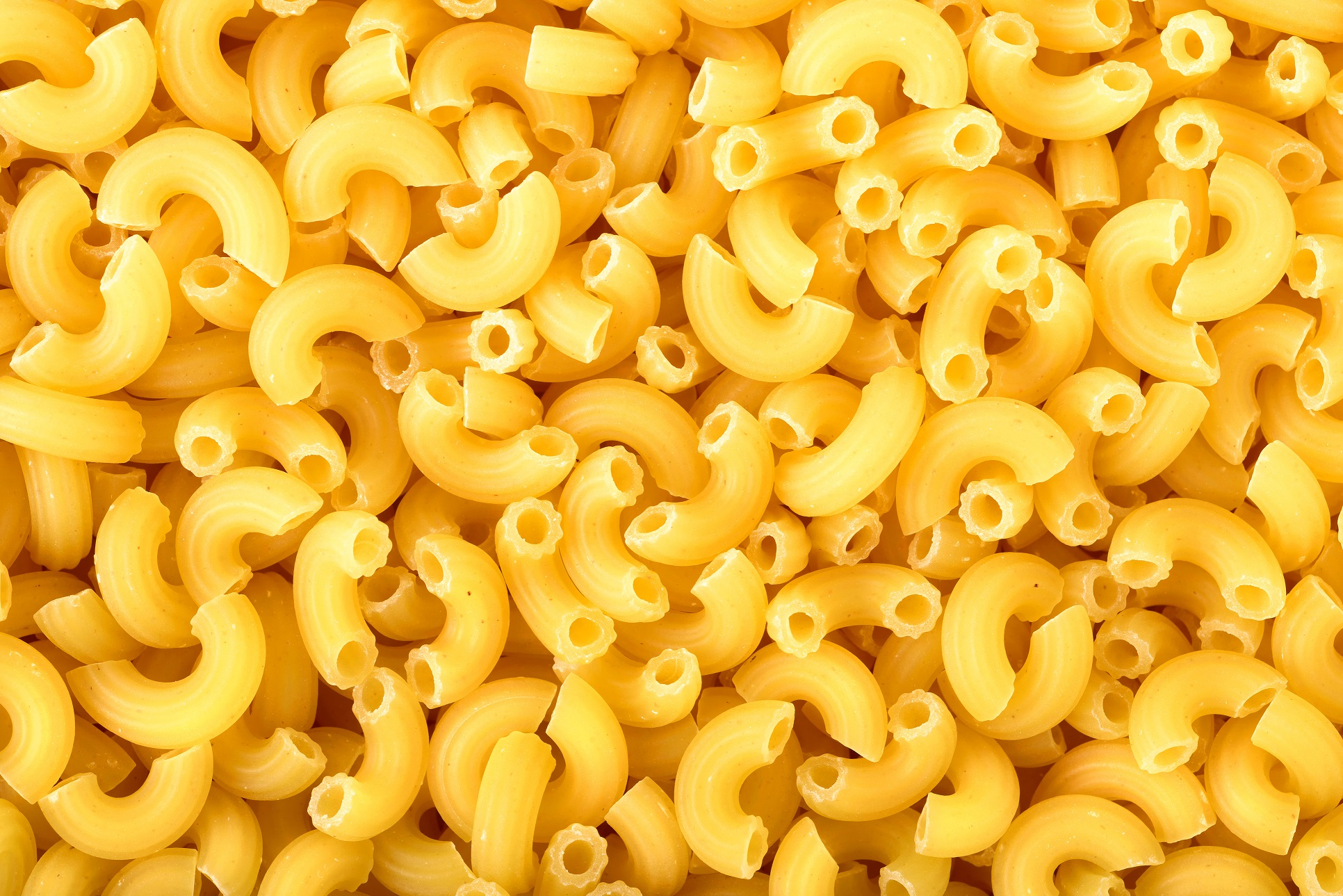 elbow macaroni