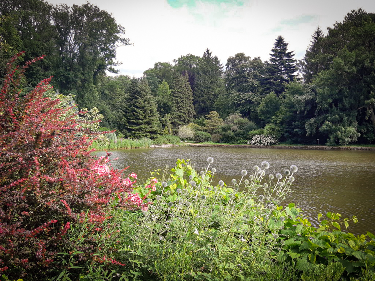 Zirc (Fotó: Ónody-Molnár Dóra) - Nők Lapja - Nők Lapja
