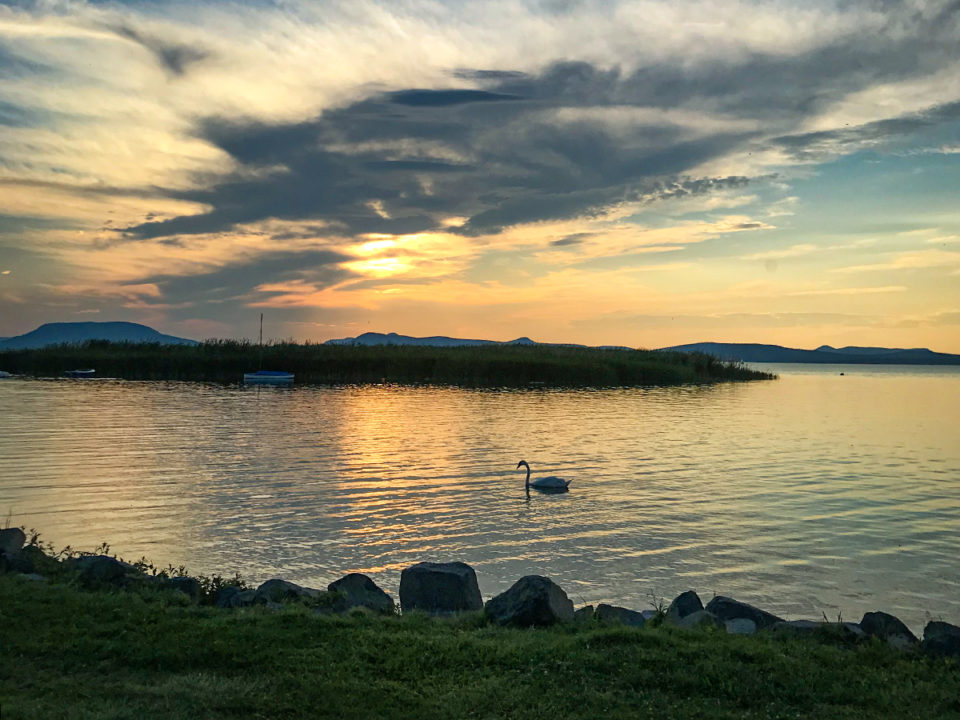 IMG-2579 - Nők Lapja