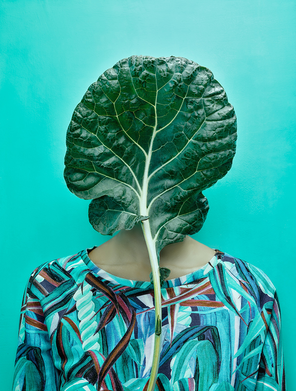 Garten 2020 - Nők Lapja - Nők Lapja