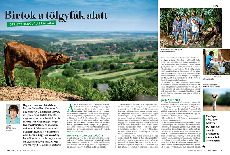 Nők Lapja 30 24-25.oldal - Nők Lapja - Nők Lapja