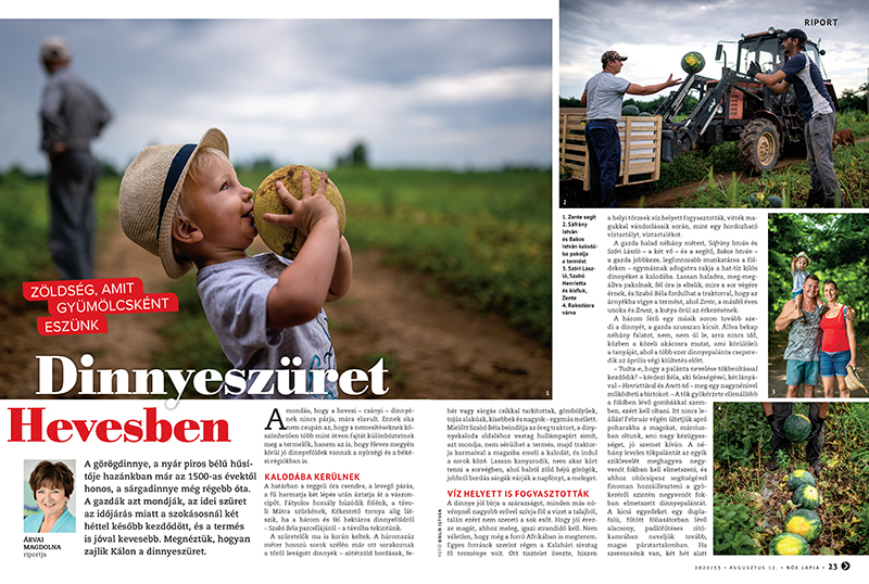 Nők Lapja 33 22-23. oldal - Nők Lapja - Nők Lapja