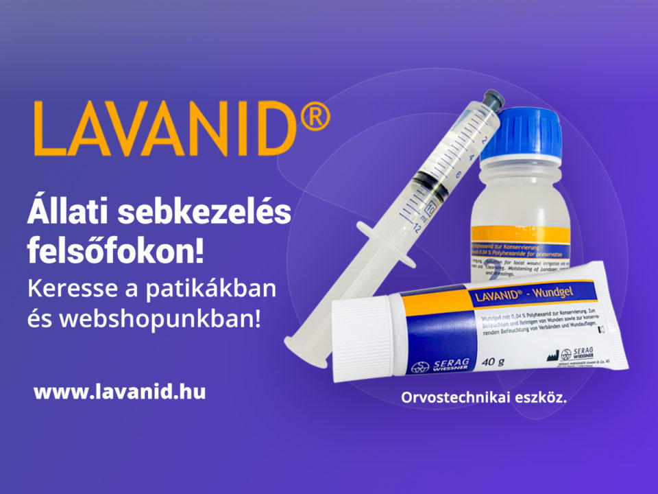 allati-befejezo - Nők Lapja