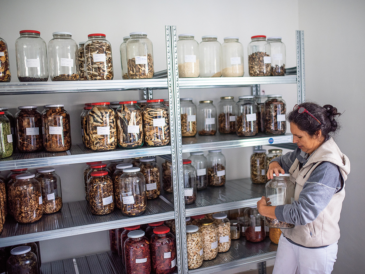 Banyaerdő_041 - Nők Lapja - Nők Lapja