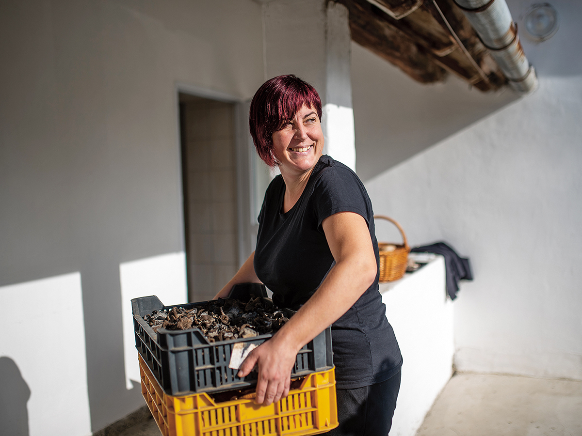 Banyaerdő_044 - Nők Lapja - Nők Lapja