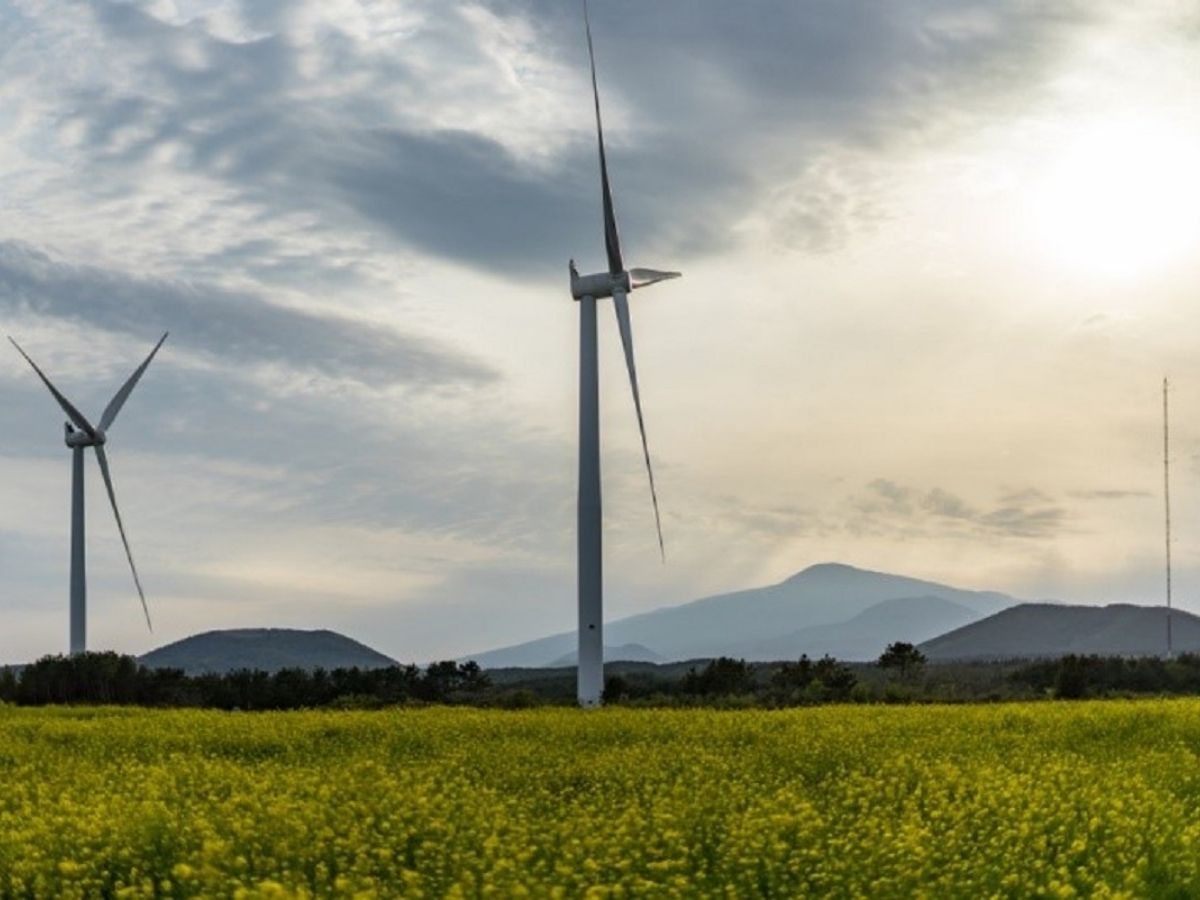 Untitled design (17) - Nők Lapja