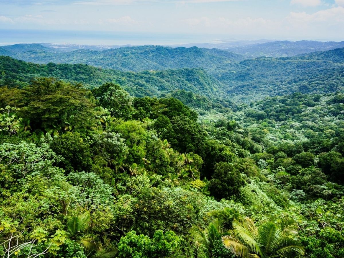 Untitled design (19) - Nők Lapja