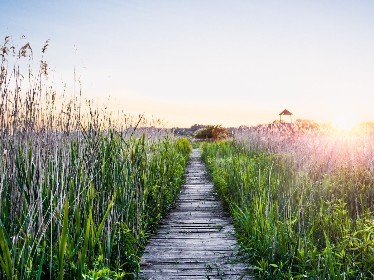 Untitled design (20) - Nők Lapja