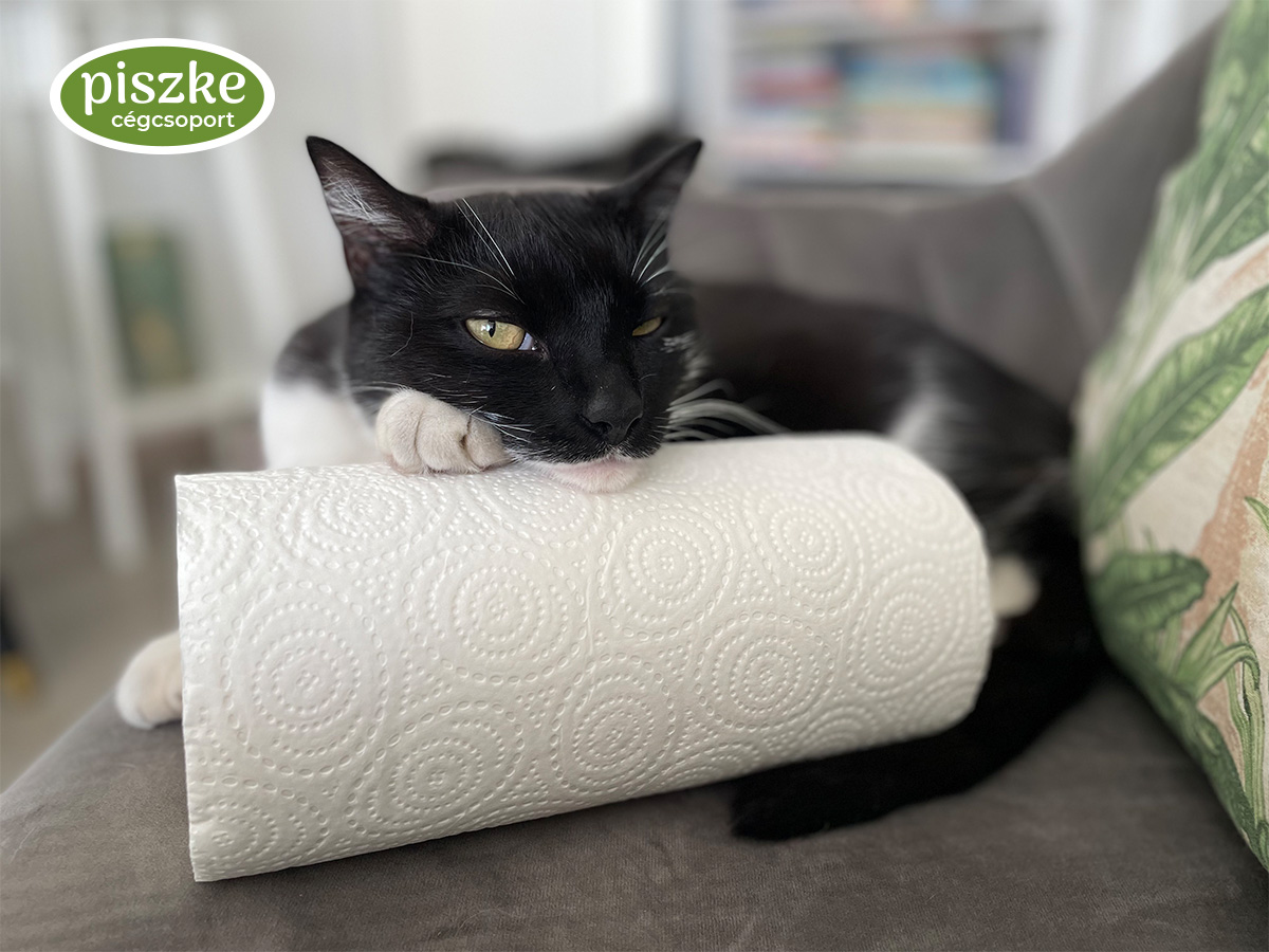 cikkbe_2_1200x900 - Nők Lapja