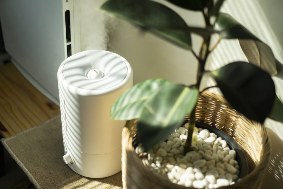 Close up Air Humidifier machine with Air Purifier tree with light from window - Nők Lapja