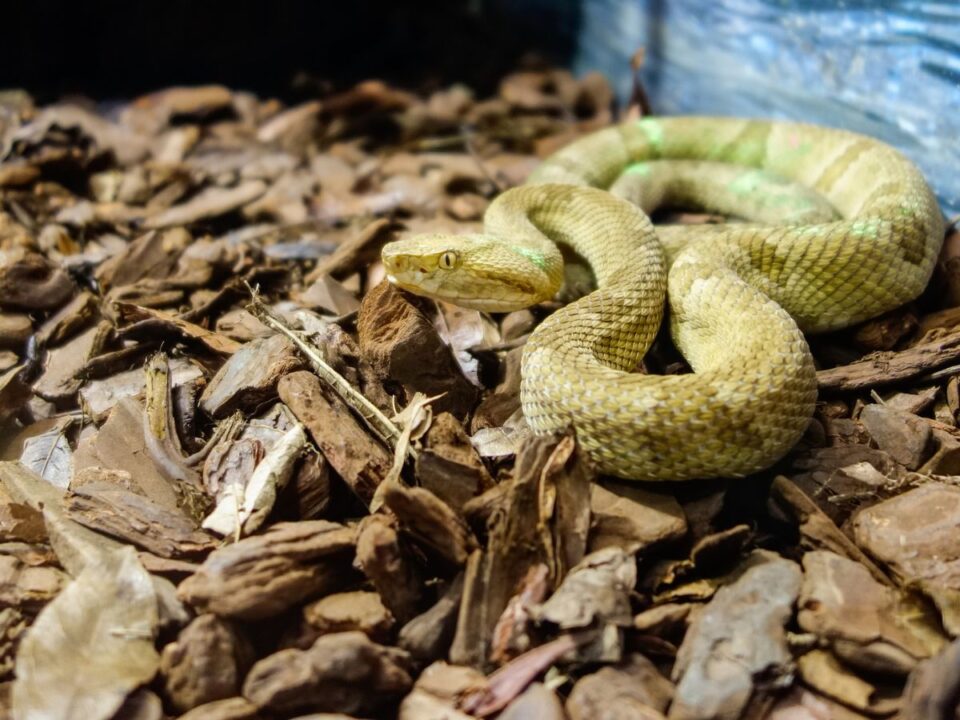 tiltott-helyek-vilagon