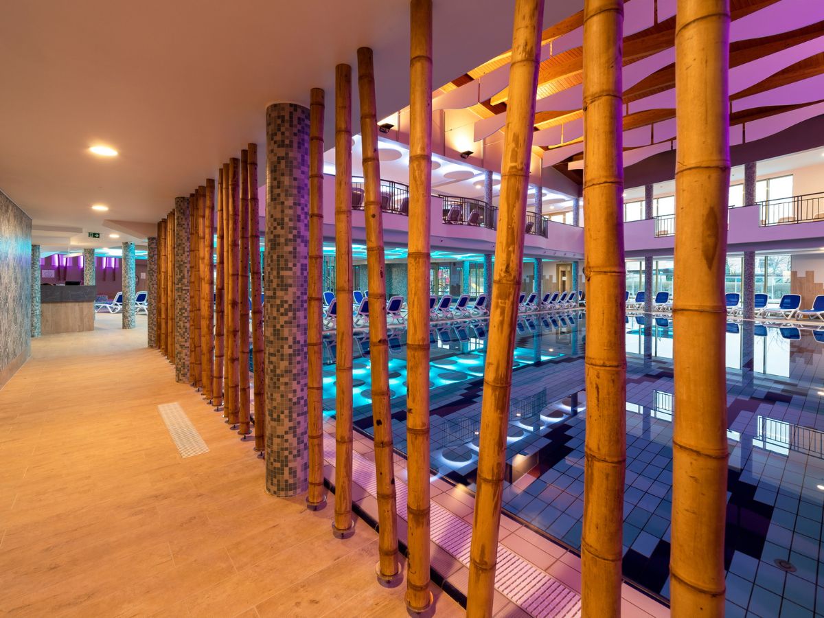 - Nők Lapja - Nők Lapja