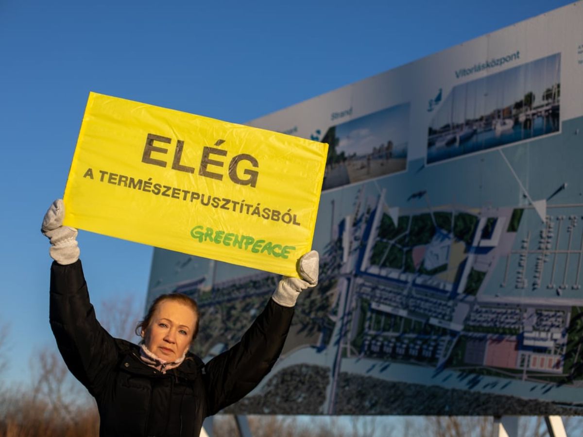 Visszavonatta A B r s g A Fert Tavi Beruh z s Enged ly t N k Lapja