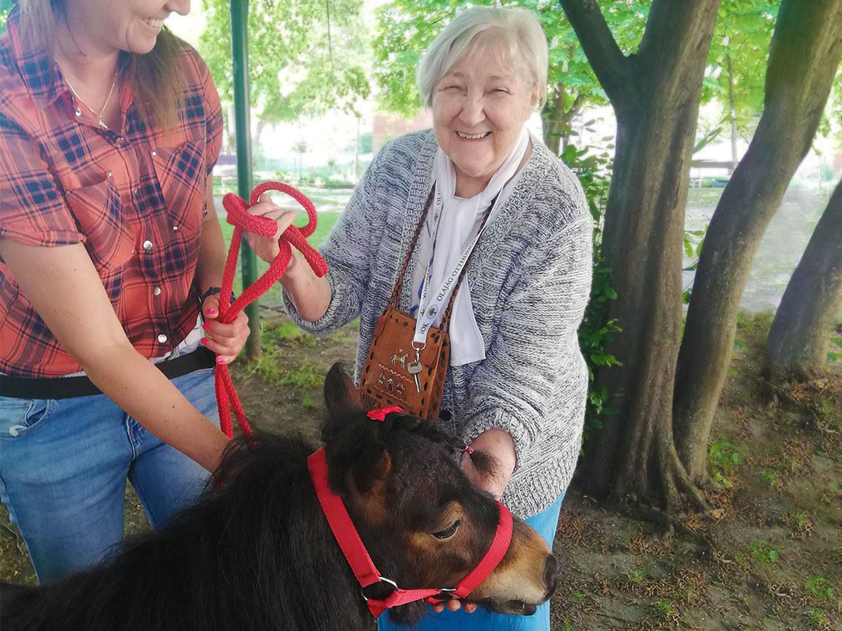 - Nők Lapja - Nők Lapja