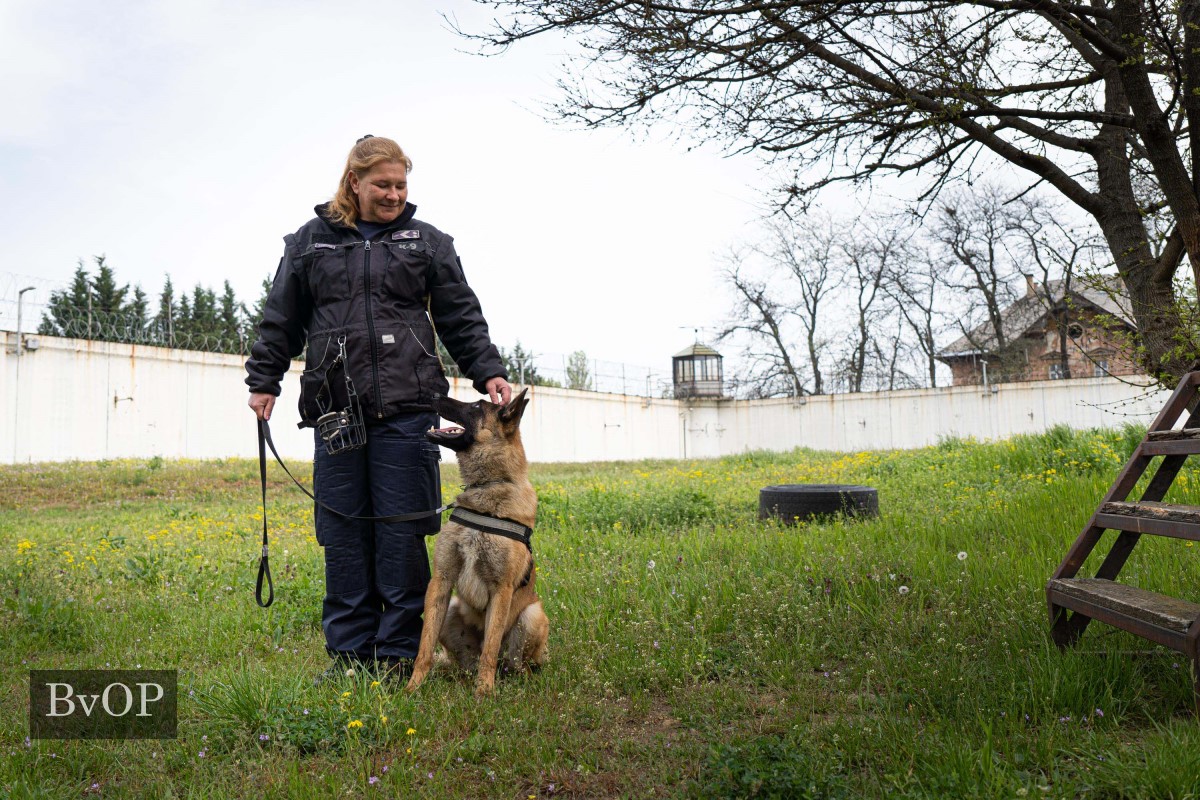 Katyi Laura bv. törzsőrmester és kutyája, Darco gyakorlat közben