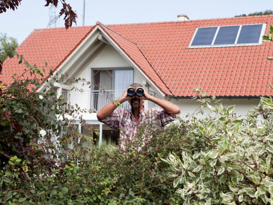 leskelődő szomszéd