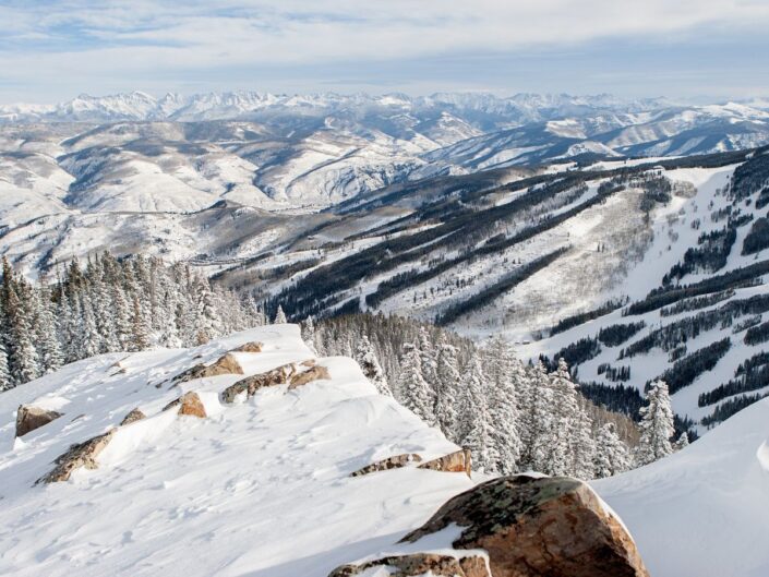 vadon család halál éhenhalt colorado