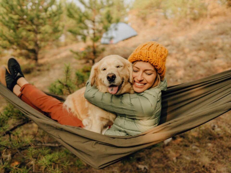 3 csillagjegy tökéletes gazdi