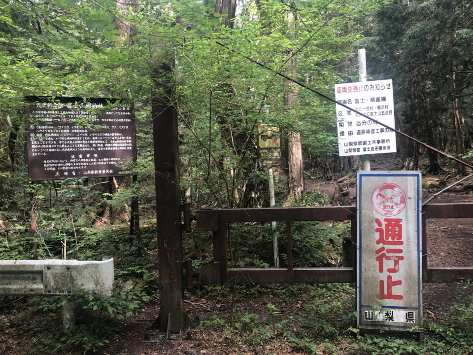 Aokigahara 