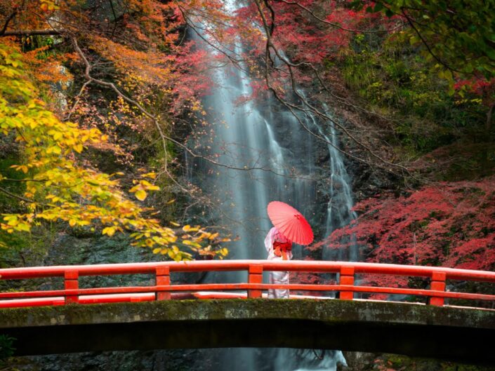 japán tájkép vízeséssel, színes fákkal