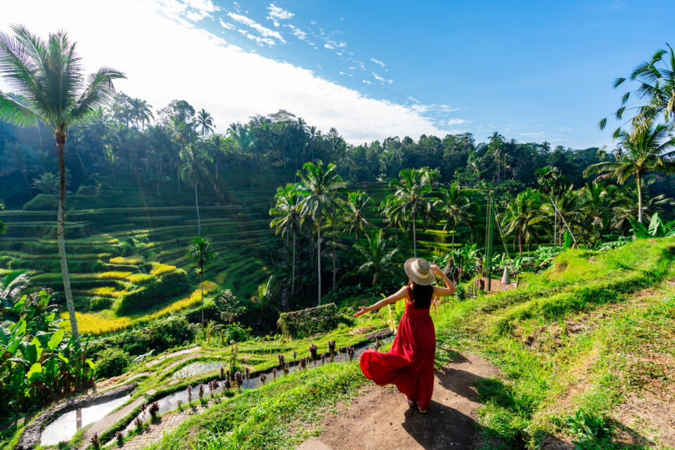 bali belépődíj turista