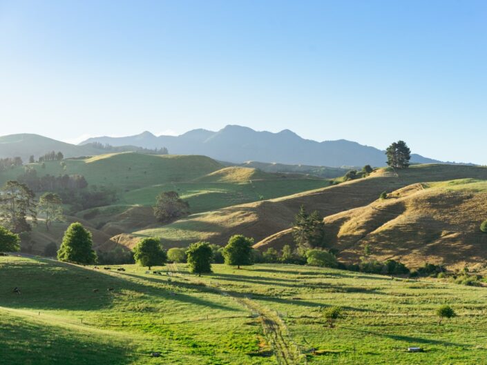 ujzeland-dohanyzas-betiltasa