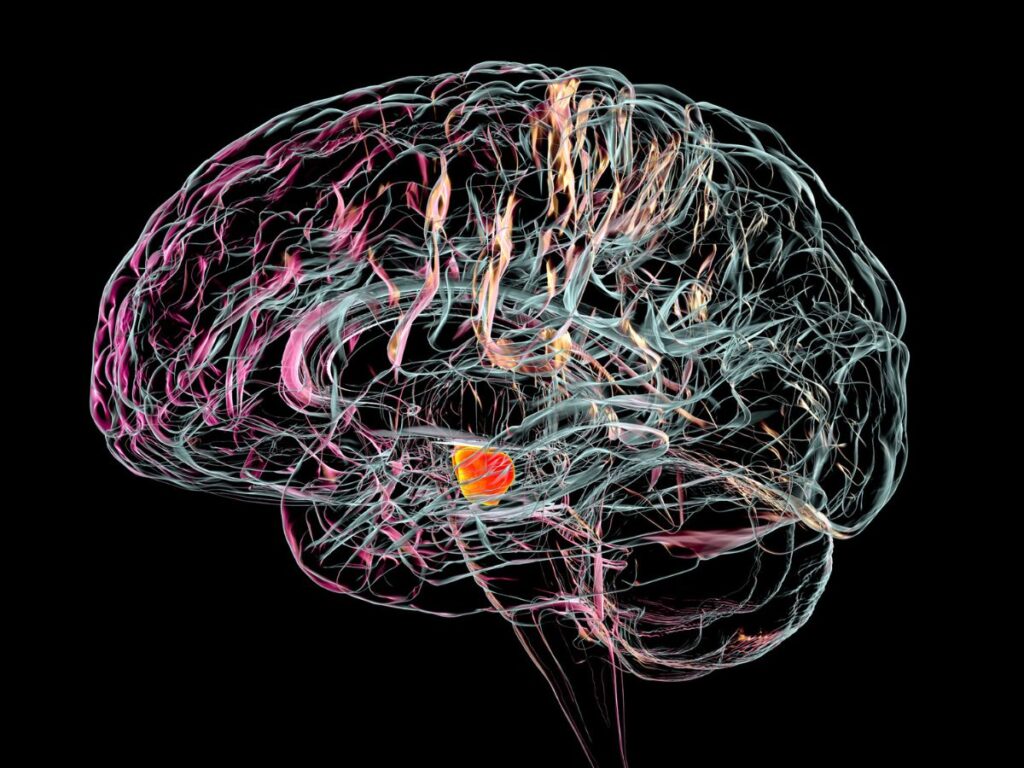 parkinson-kór tudomány kutatás