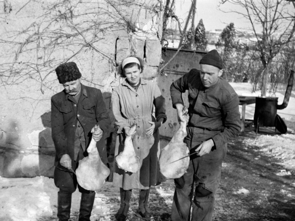 filmes_idezetek_kviz - Nők Lapja regies-etelnevek-kviz