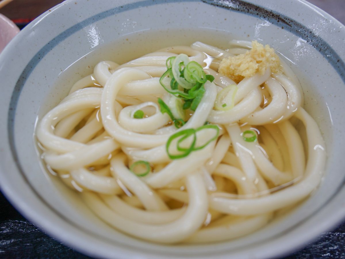 Udon