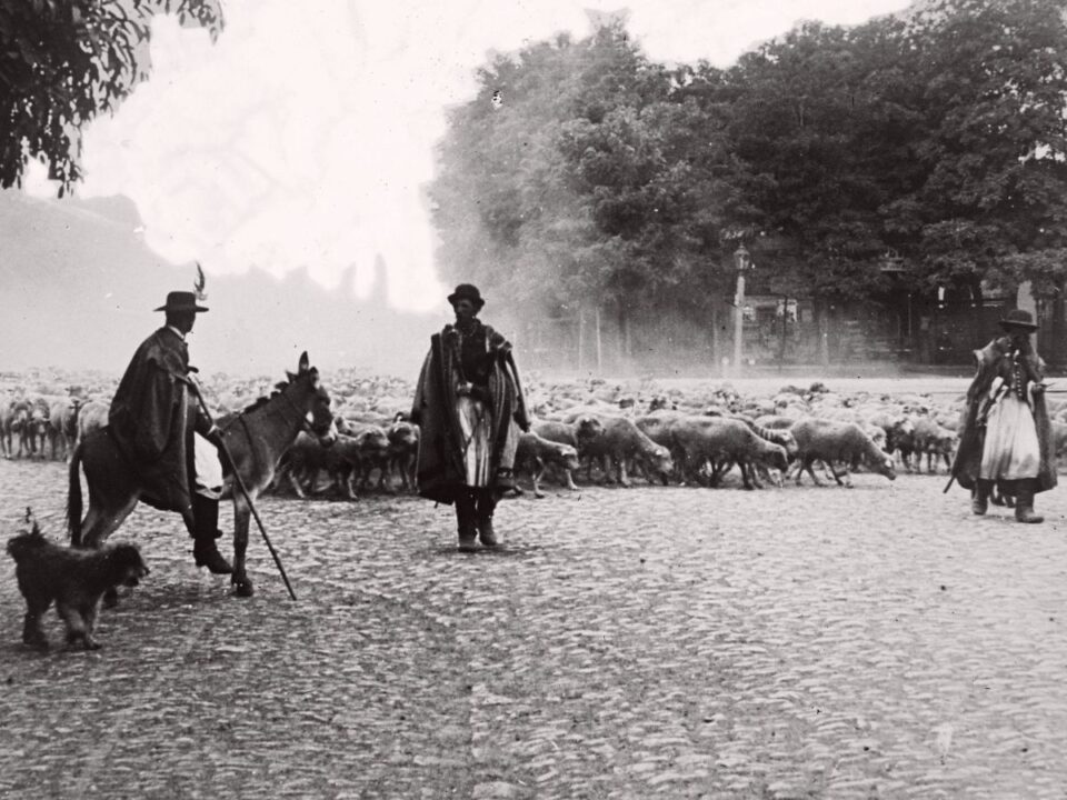 nép szólások közmondások kvíz