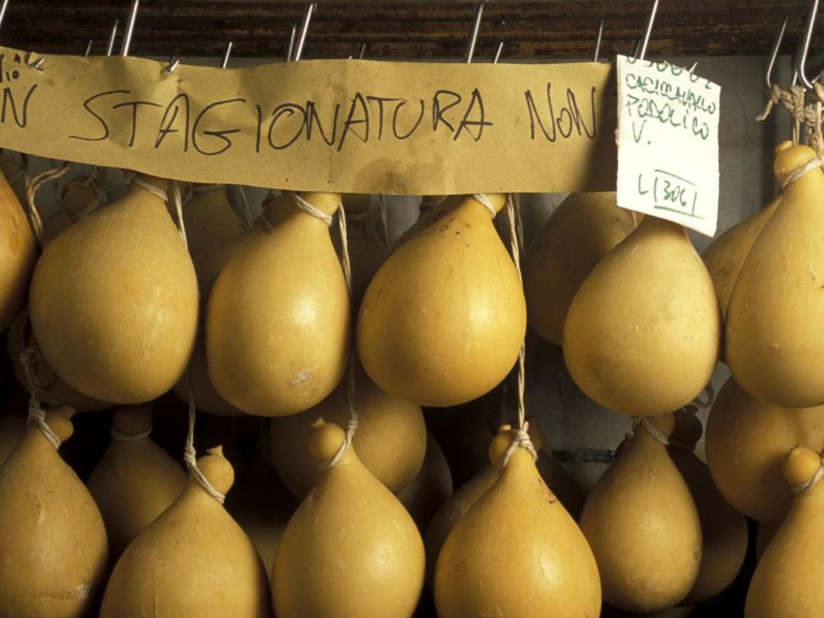 Caciocavallo podolico