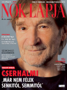 NLA04_B1_2Cimlap1dB_UJS_Cserhalmi I RA_Novonalkod - Nők Lapja Cserhalmi György a Nők Lapja címlapján