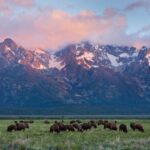 Grand Teton Nemzeti Park, Egyesült Államok