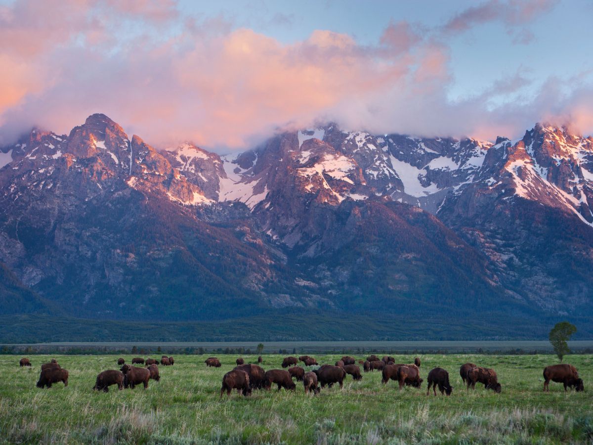 Grand Teton Nemzeti Park, Egyesült Államok