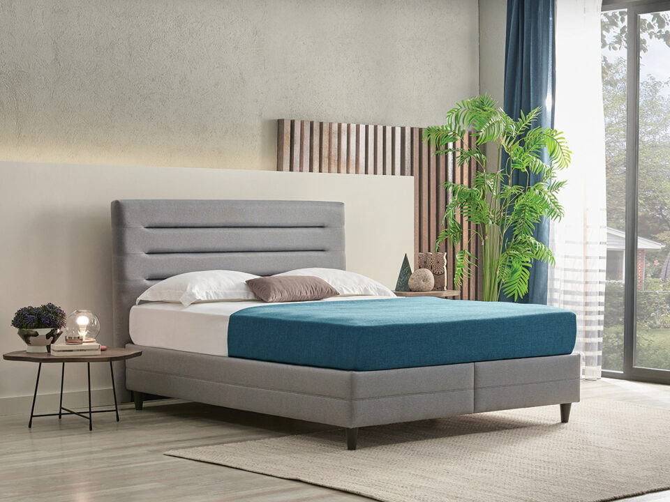 PR_cikk_kép_2 - Nők Lapja