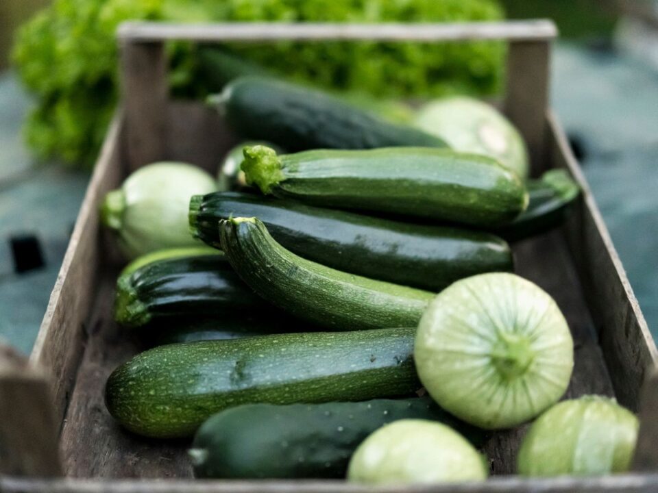 diétás receptek cukkinivel