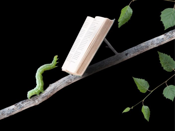 biológiai alapfogalmak kvíz