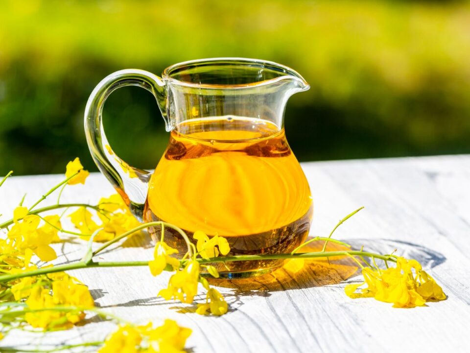 repceolaj hatása felhasználása