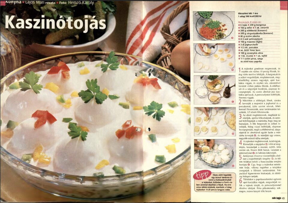 Screenshot 2025-04-14 at 131607 - Nők Lapja retro-kaszinotojas-recept