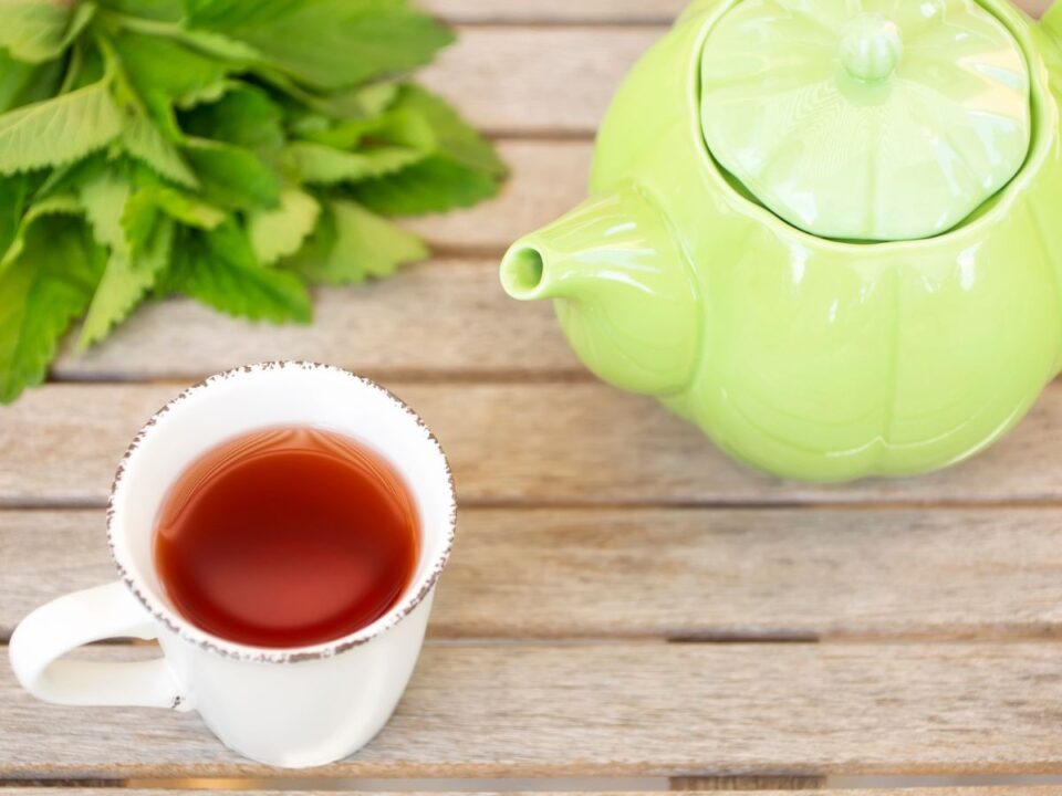 citromfűtea, gyógytea, gyógynövény