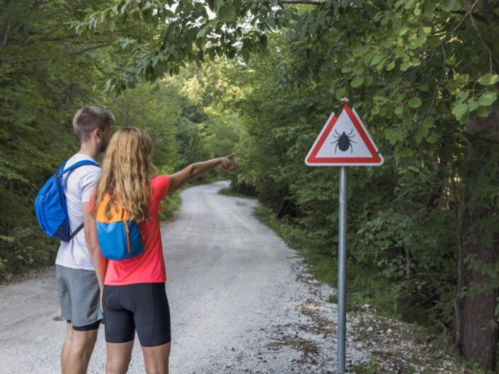 mutáns kullancs invázió
