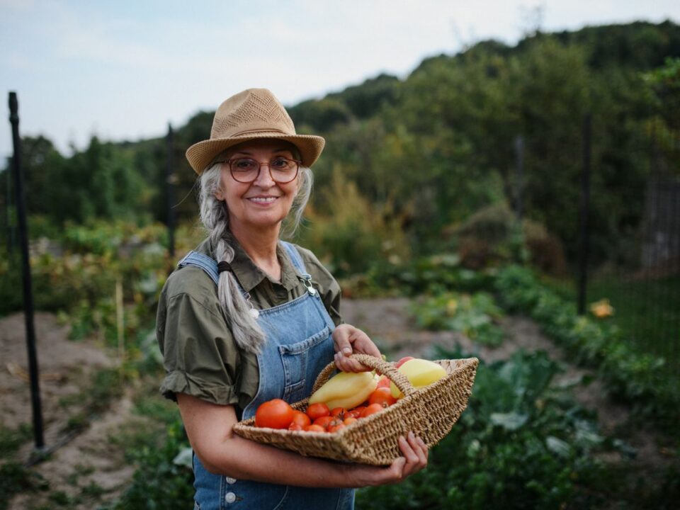 diéta vegetáriánus öregít