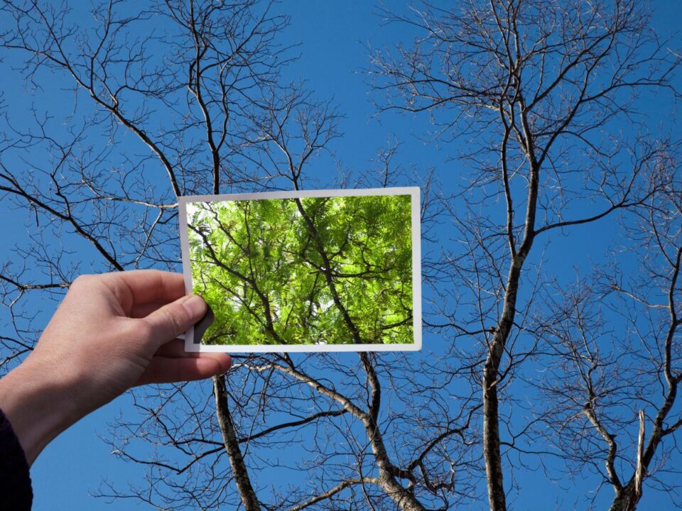 fejlődést gátló vágyak