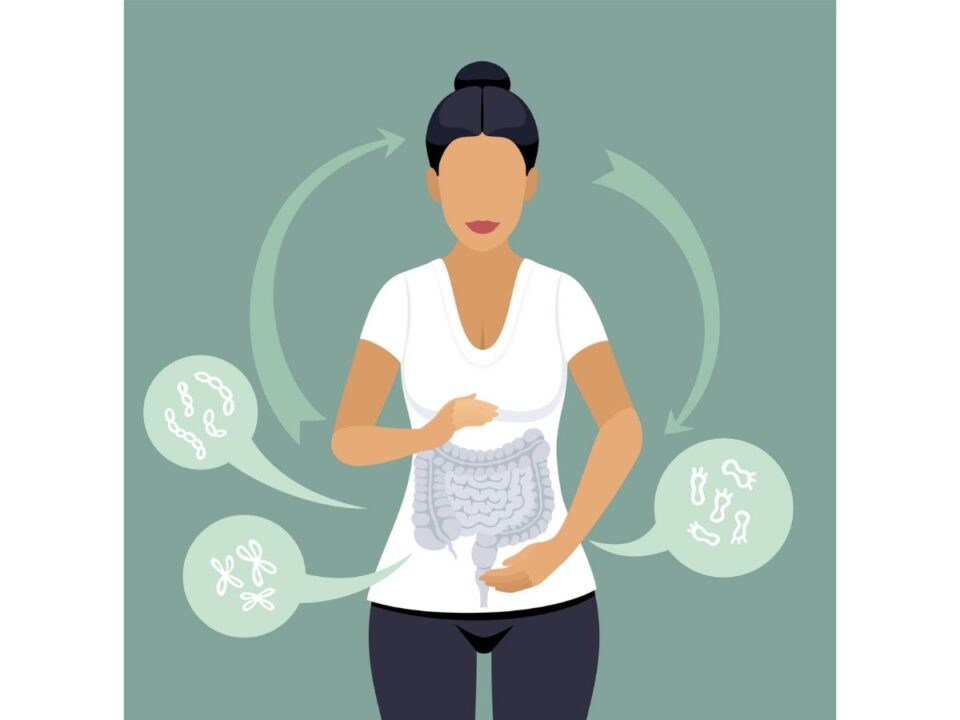 agyműködés időszakos böjt