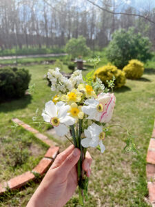 IMG_0225 - Nők Lapja