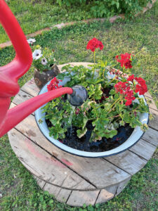 IMG_0328 - Nők Lapja