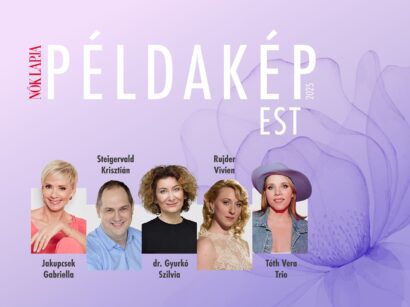 példakép díj