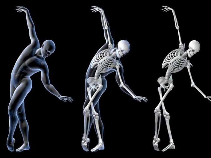 csontváz, táncos, anatómia