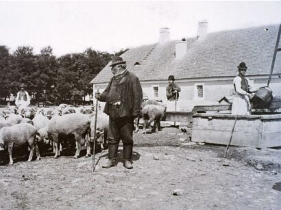 juhpásztor